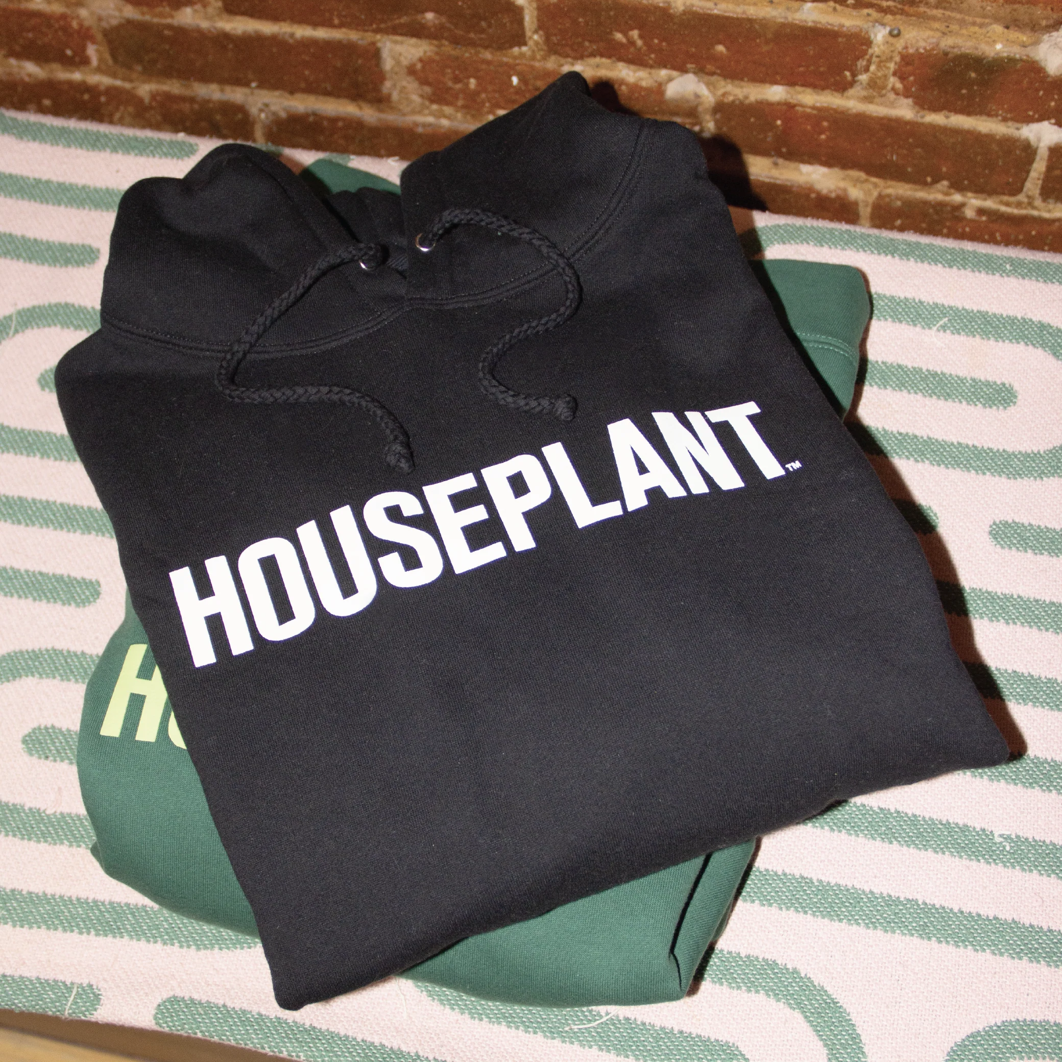 Houseplant Hoodie in Black - Image 4