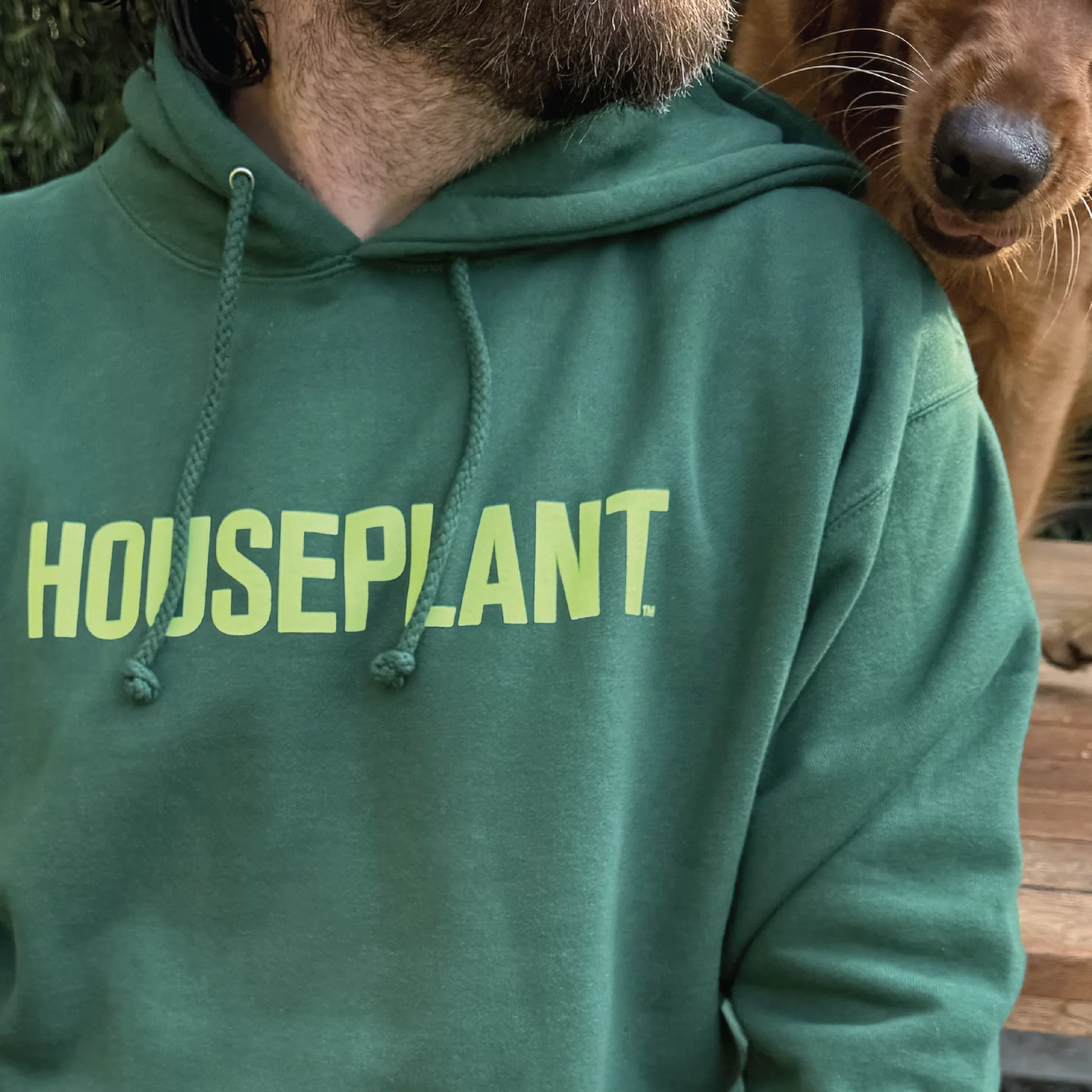 Houseplant Hoodie in Green - Image 3