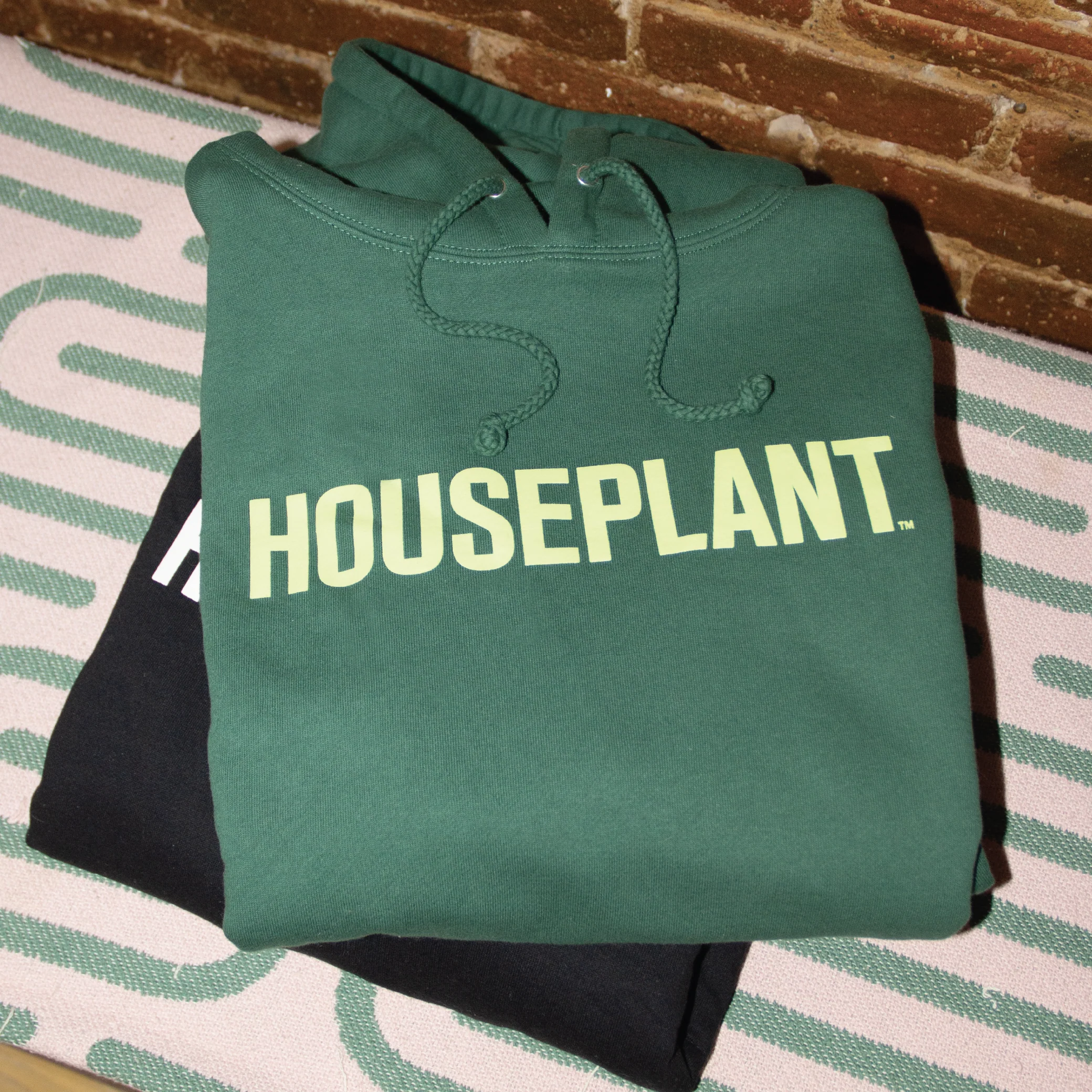 Houseplant Hoodie in Green - Image 4